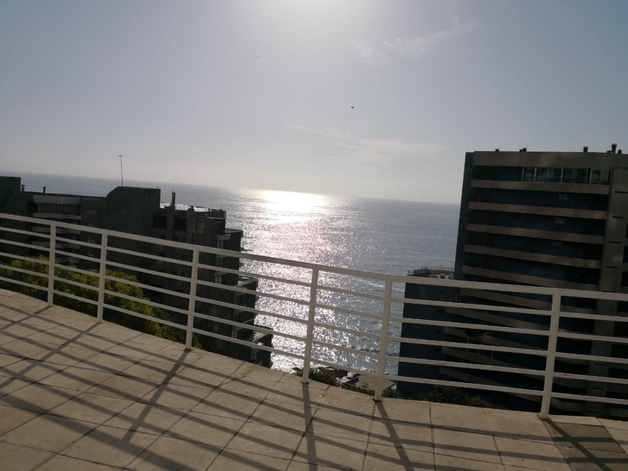 Cpm Vina del Mar